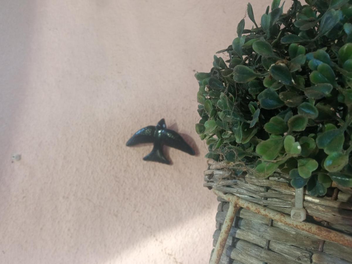 סייה Azevinho Guest House מראה חיצוני תמונה